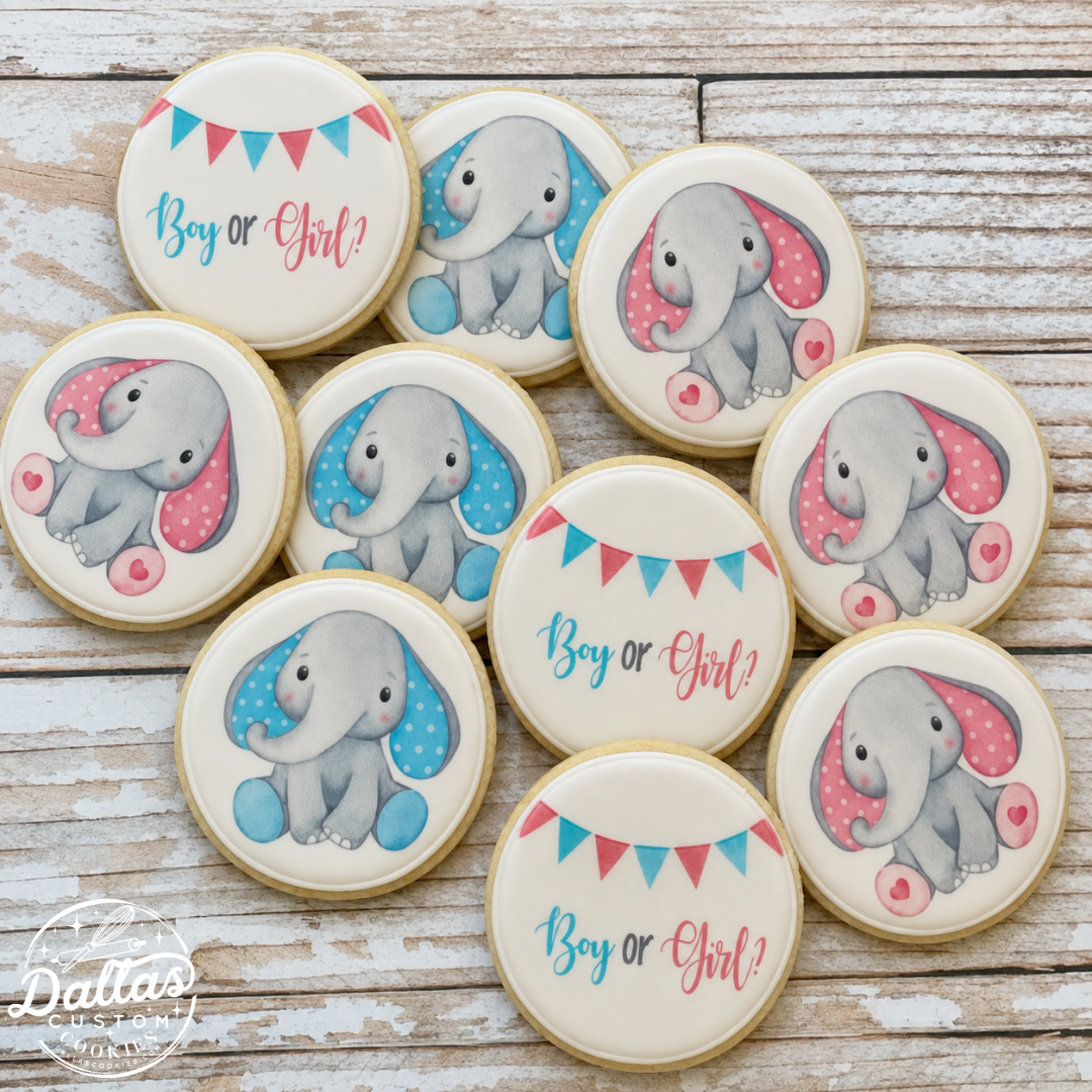 Elephant Themed Gender Reveal Gender Neutral Baby Shower Cookies--12 Count