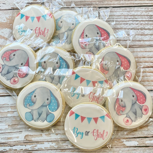 Elephant Themed Gender Reveal Gender Neutral Baby Shower Cookies--12 Count